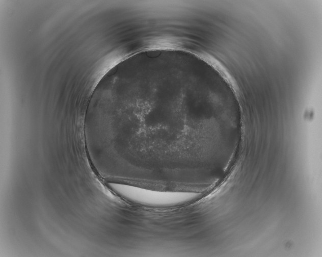 X0000094821337200711301621