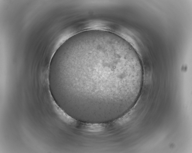 X0000094821338200711301621