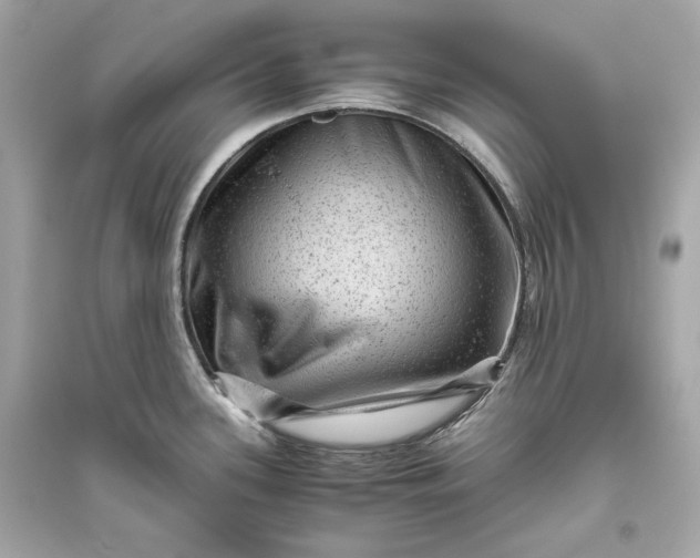 X0000094821339200711301621