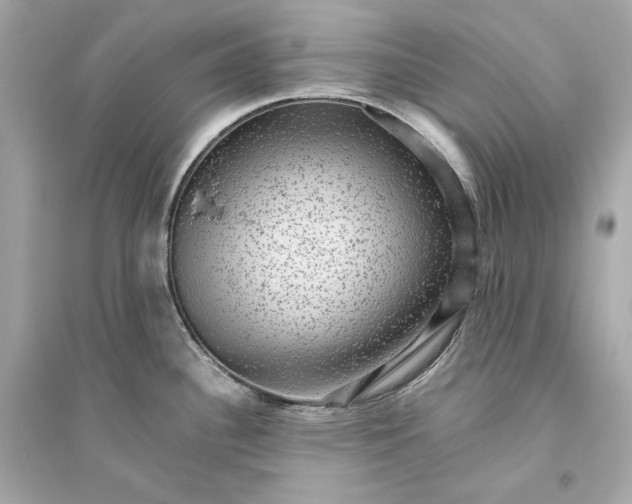 X0000094821340200711301621