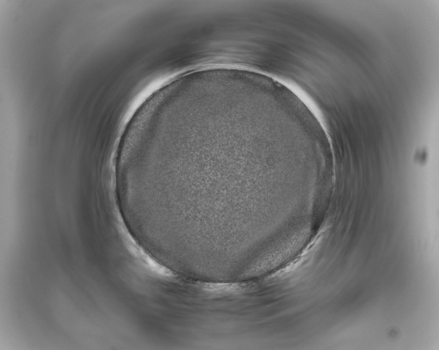 X0000094821341200711301621