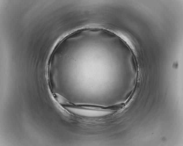 X0000094821342200711301621