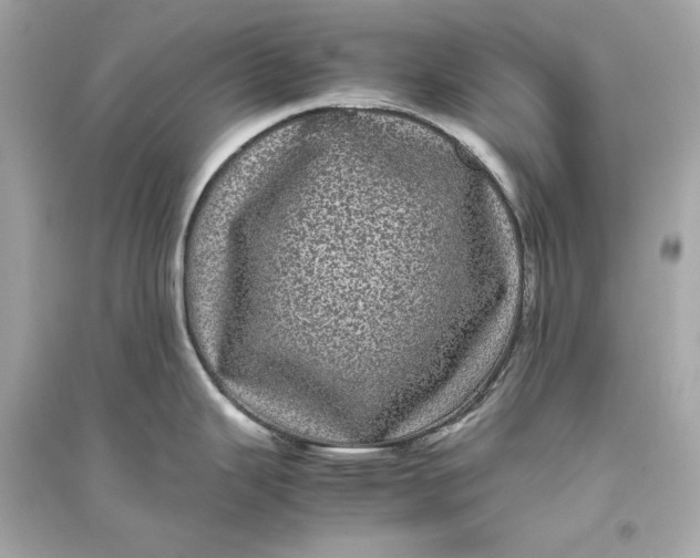 X0000094821343200711301621