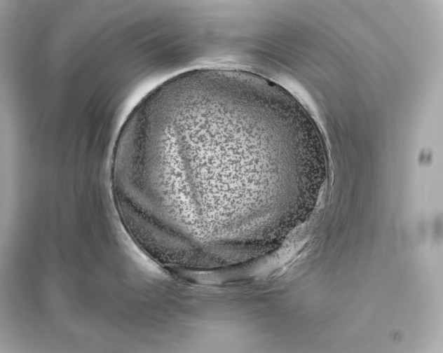 X0000094821344200711301621