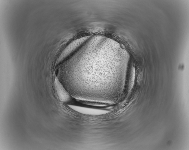 X0000094821345200711301621