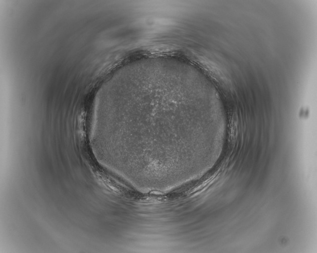 X0000094821346200711301621