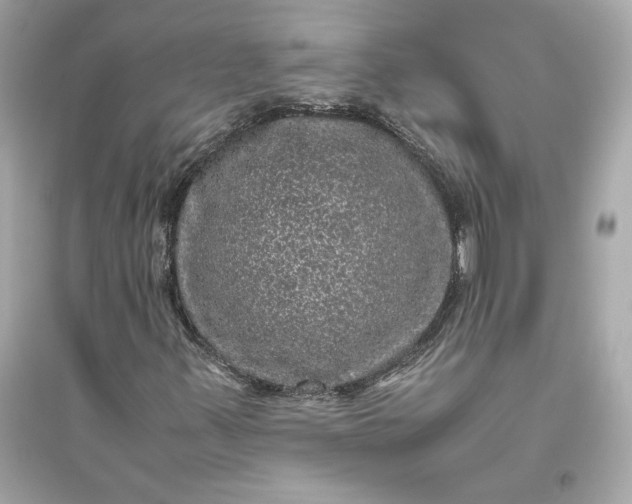 X0000094821347200711301621