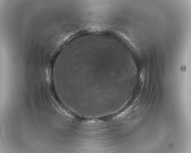 X0000094821348200711301621