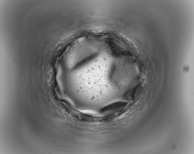 X0000094821349200711301621