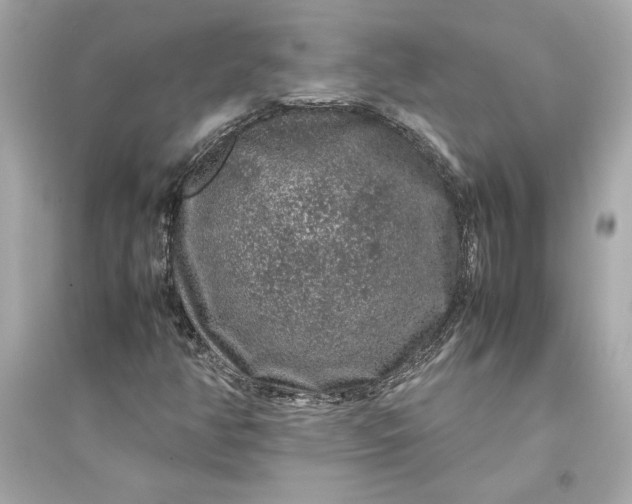 X0000094821350200711301621