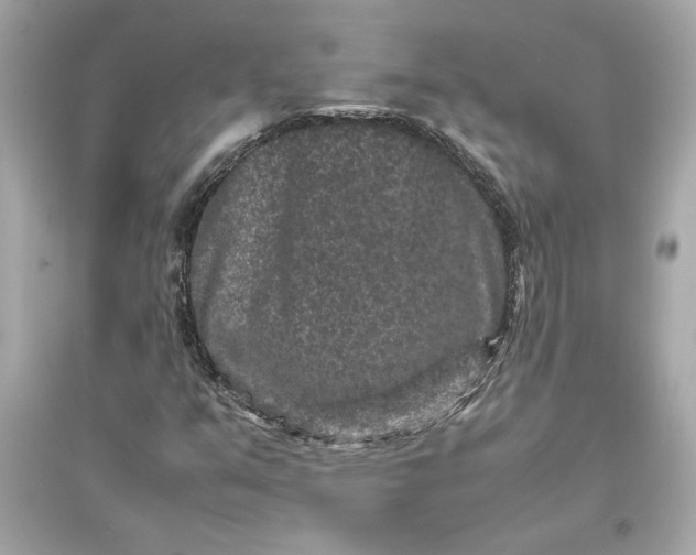 X0000094821351200711301621