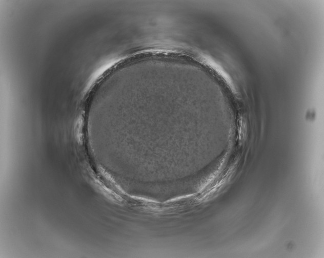 X0000094821352200711301621