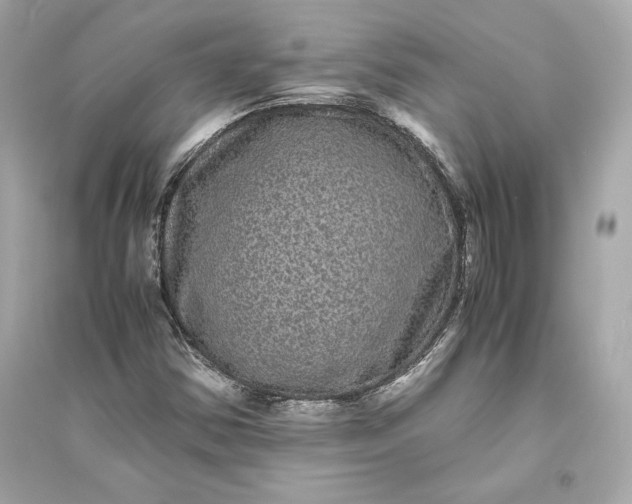 X0000094821354200711301620