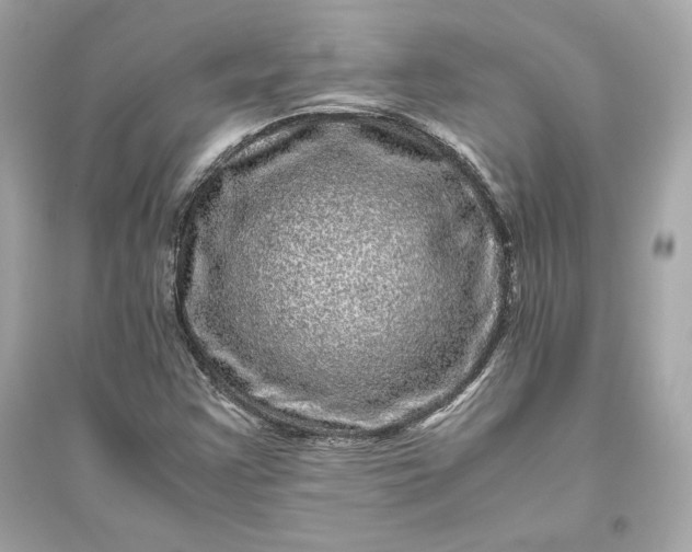 X0000094821355200711301620