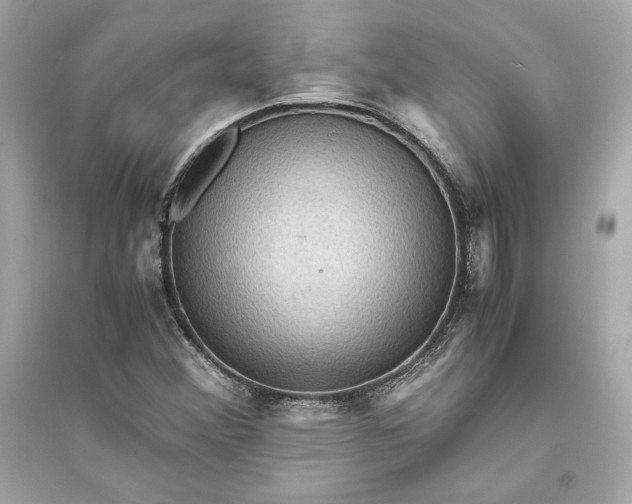 X0000094821356200711301620