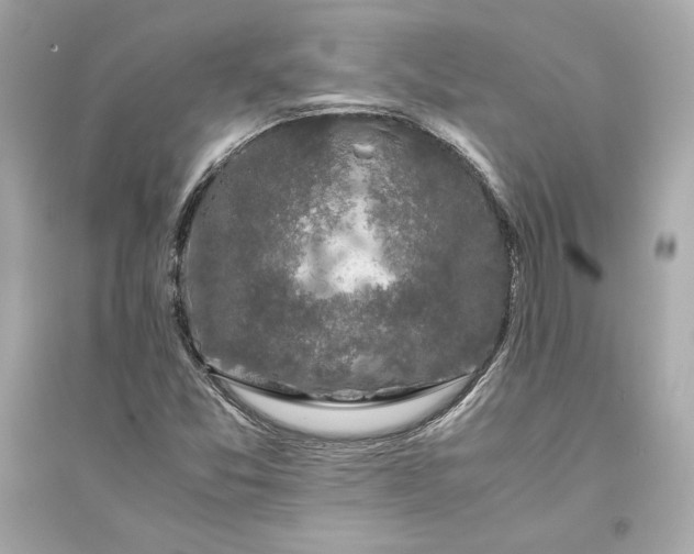X0000094821357200711301620