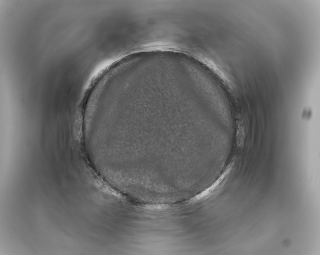 X0000094821358200711301620