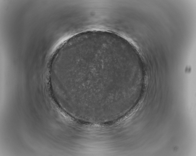 X0000094821359200711301620