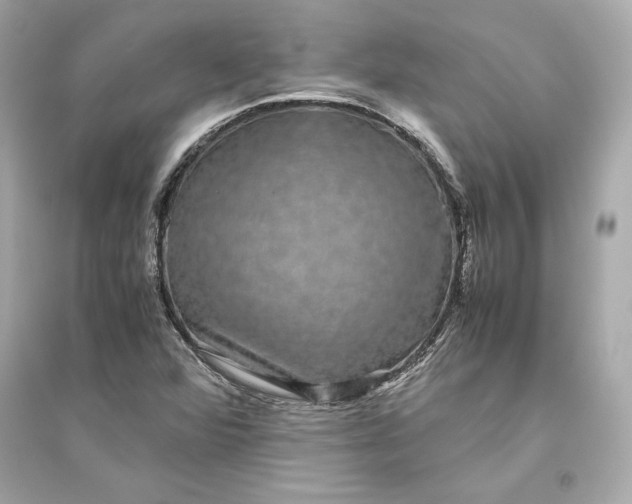 X0000094821360200711301620