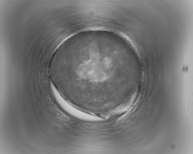 X0000094821361200711301620