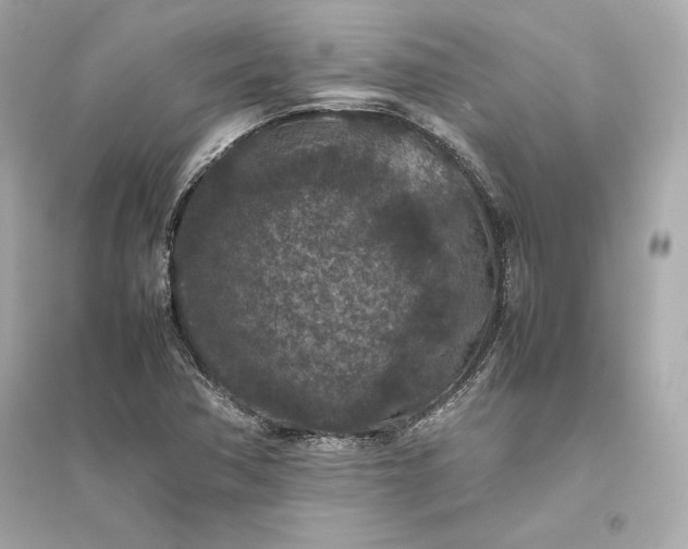 X0000094821362200711301620