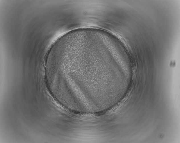 X0000094821363200711301620