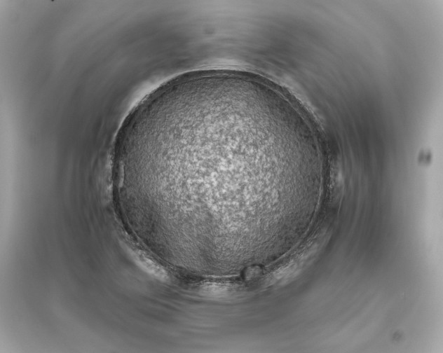 X0000094821364200711301620