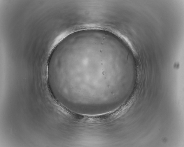X0000094821365200711301620