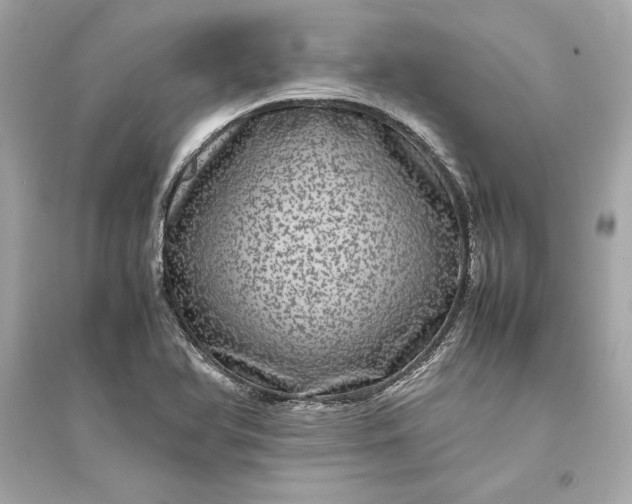 X0000094821366200711301620