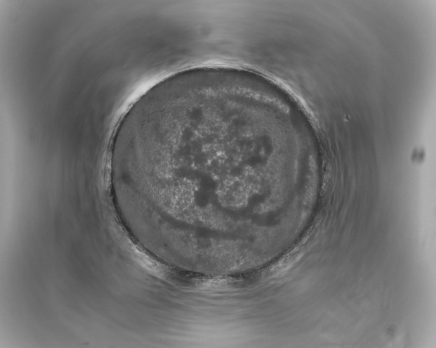 X0000094821367200711301620