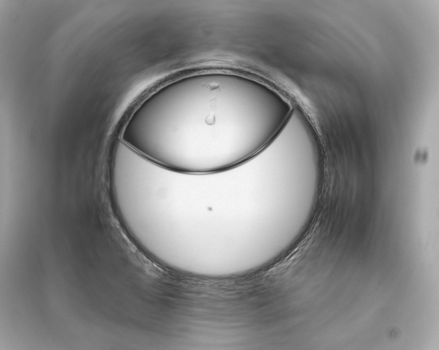 X0000094821368200711301620
