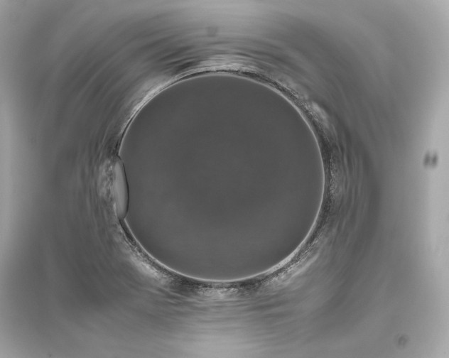 X0000094821369200711301620