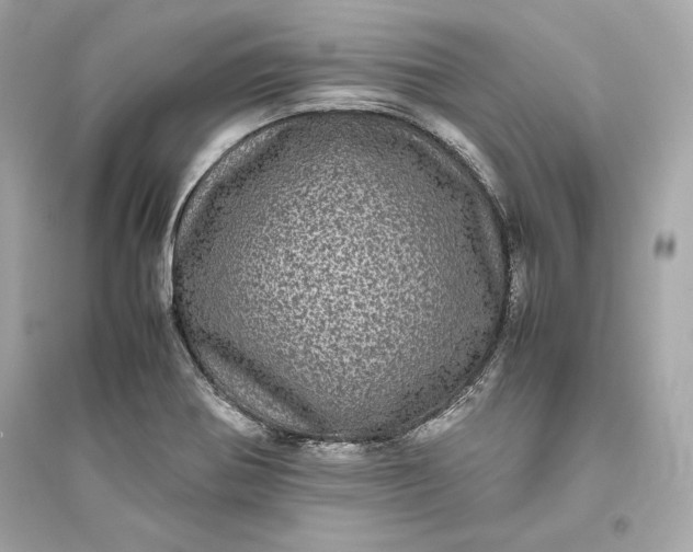 X0000094821370200711301620
