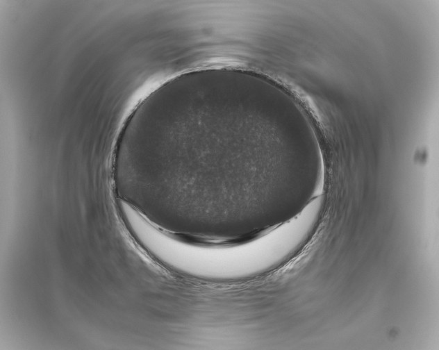 X0000094821373200711301620