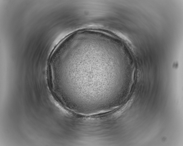 X0000094821374200711301620
