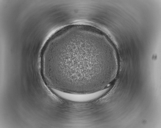 X0000094821376200711301620