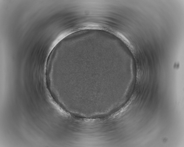 X0000094821378200711301620