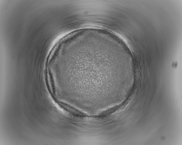 X0000094821379200711301620