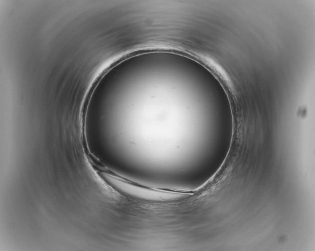 X0000094821380200711301620