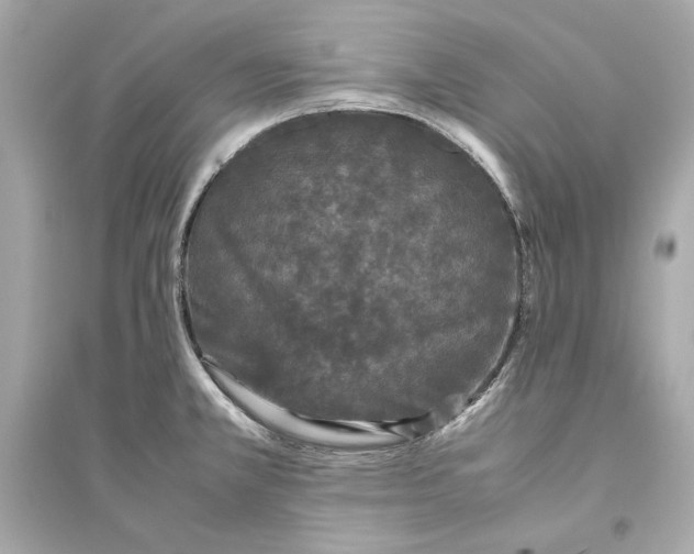 X0000094821381200711301620