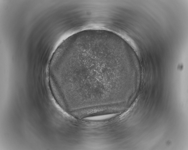 X0000094821382200711301620