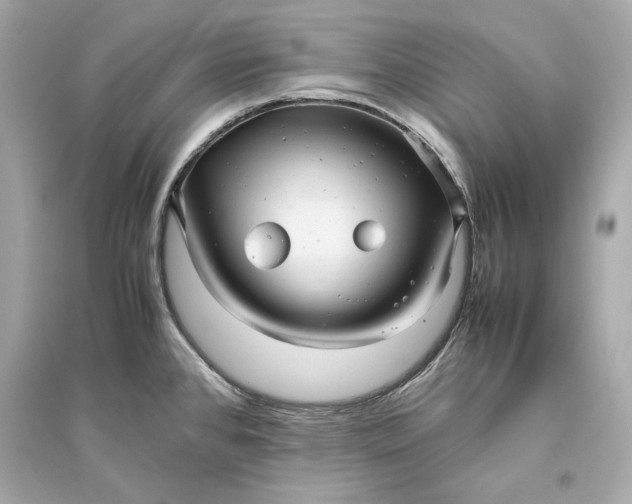 X0000094821384200711301620