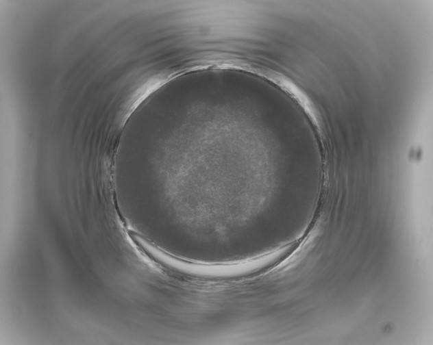 X0000094821385200711301620