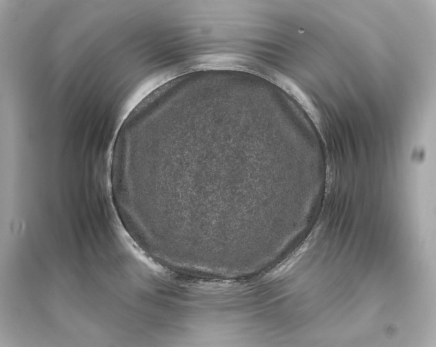 X0000094821386200711301620