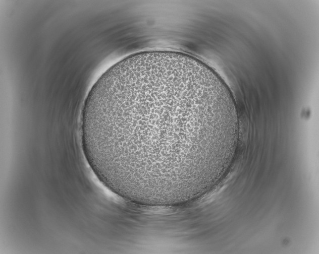 X0000094821387200711301620