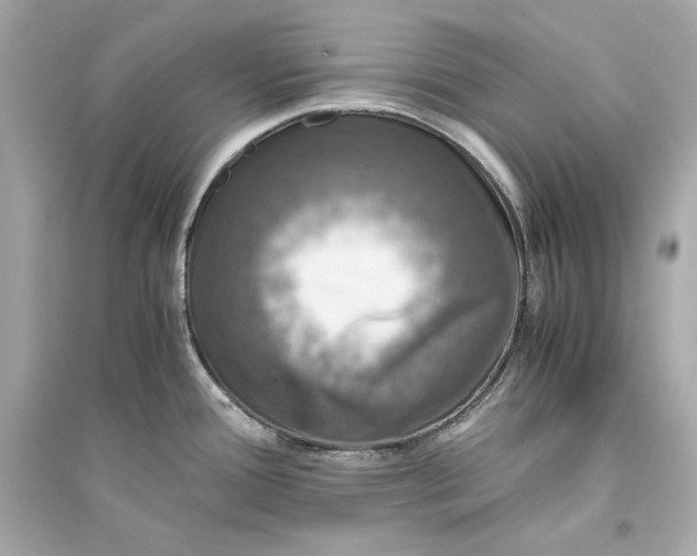 X0000094821388200711301620