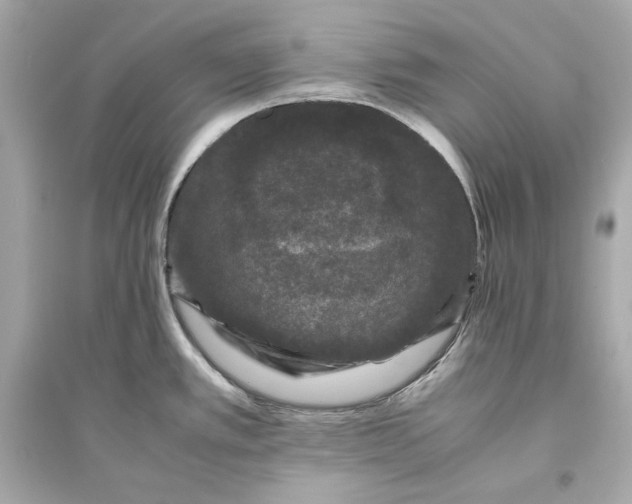 X0000094821389200711301620