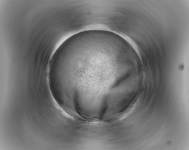 X0000094821390200711301620