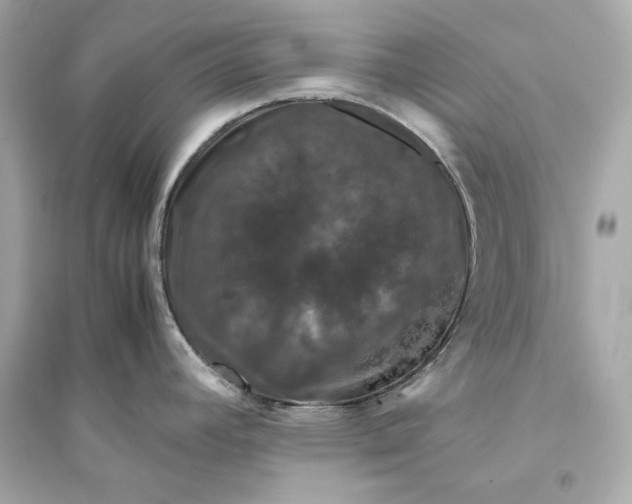 X0000094821392200711301620