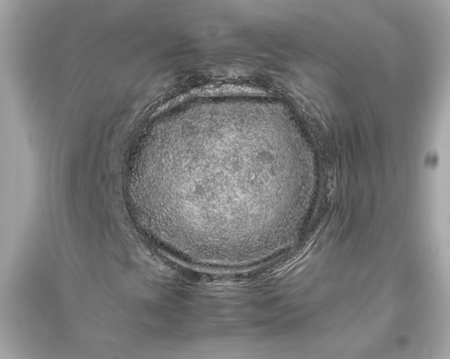 X0000094821393200711301619